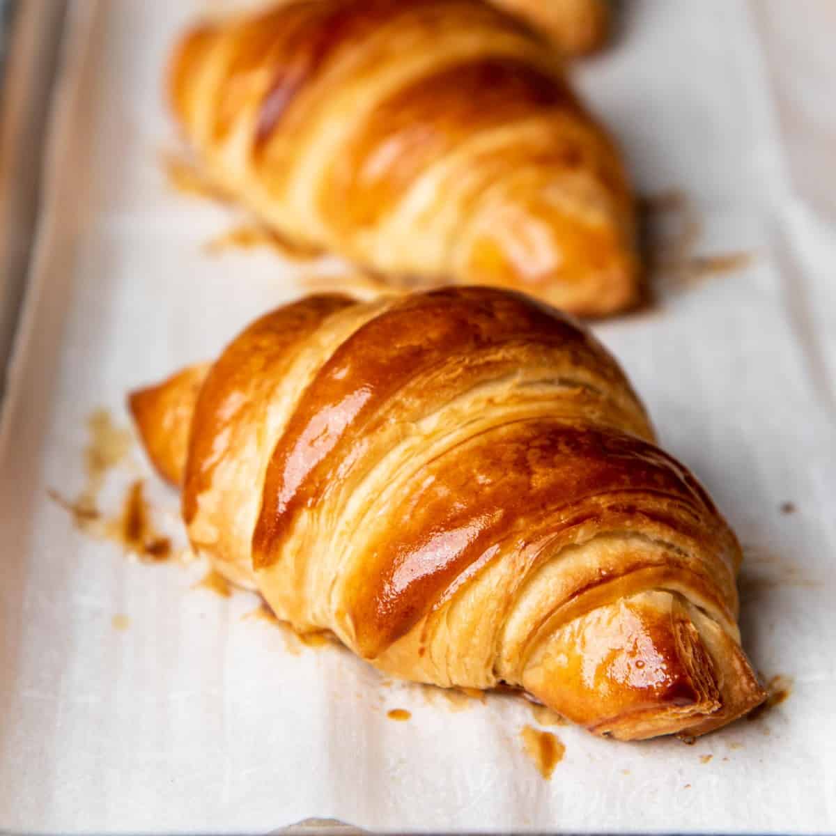 French Bakery Workshop صورة 3