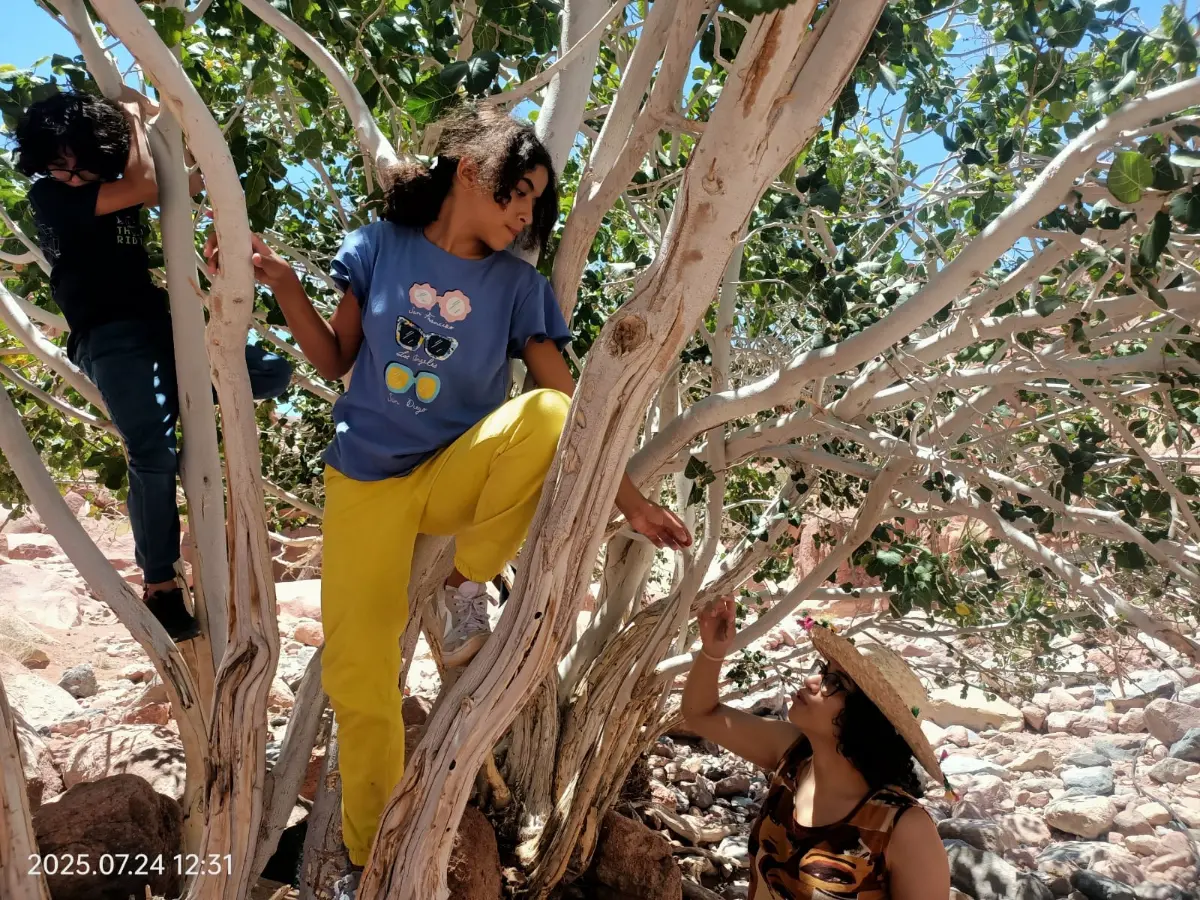 Live & Explore: St. Catherine Trip  photo 4