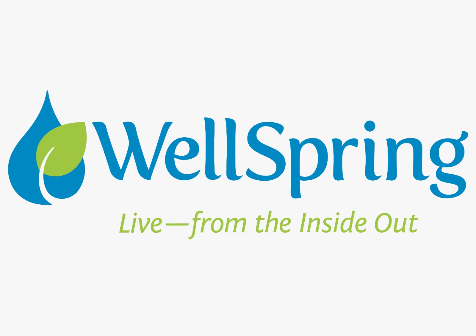WellSpring Egypt logo