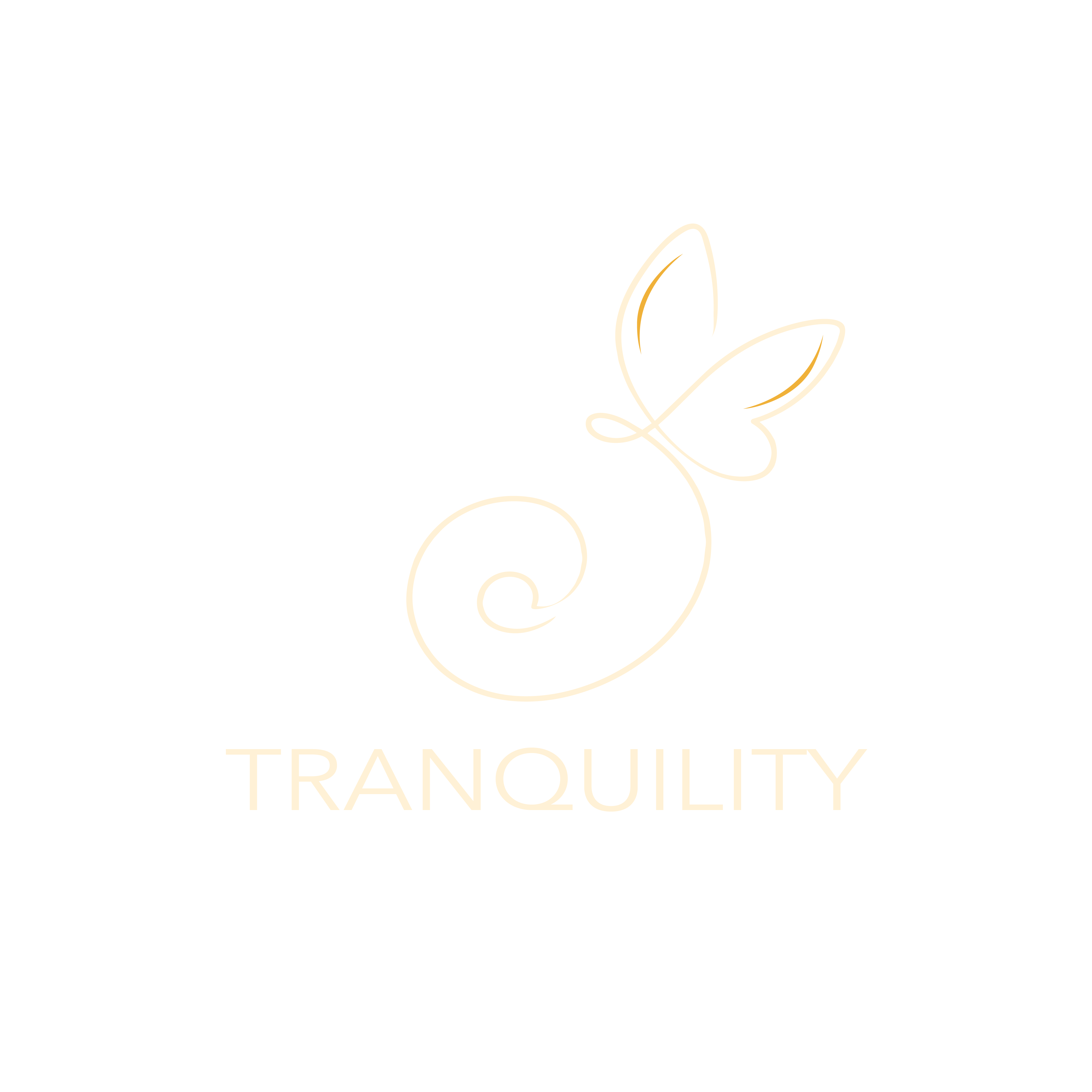 Tranquility for training and development logo