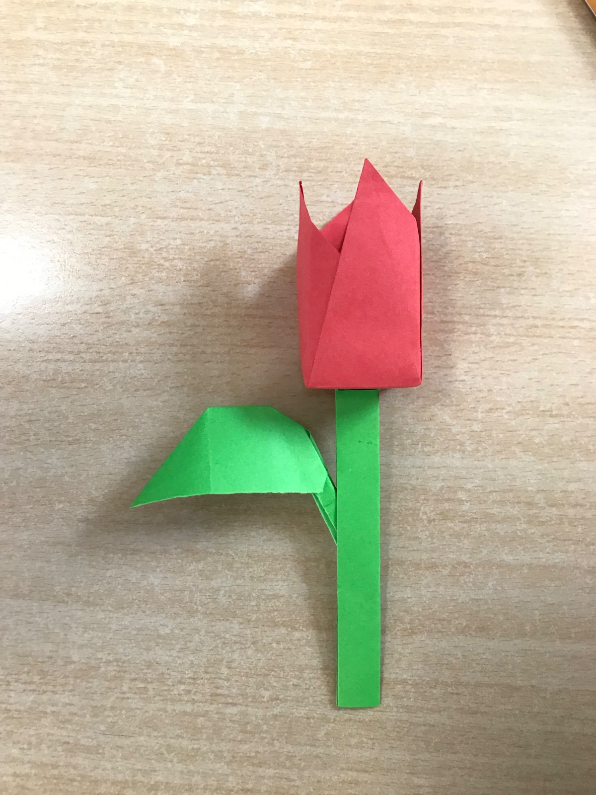 Origami Adventures Camp photo 4